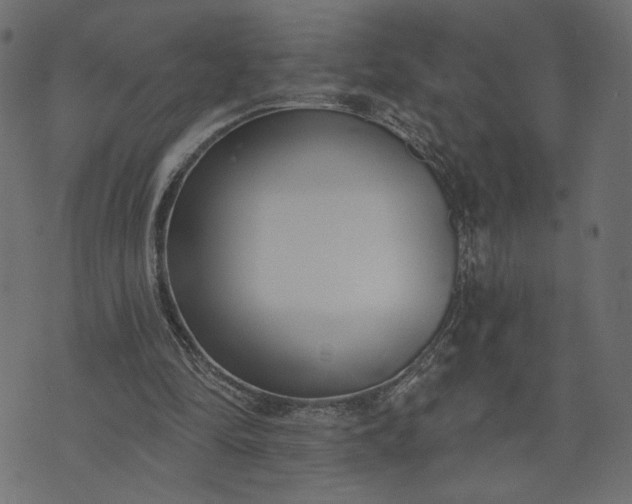 X0000073740294200608171313