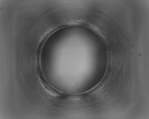 X0000073740299200608171313