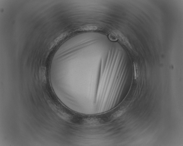 X0000073740300200608171313