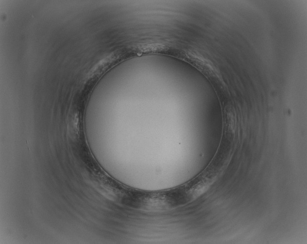 X0000073740308200608171313