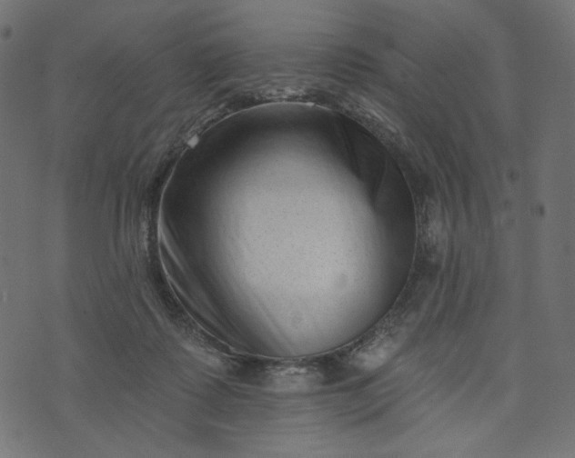 X0000073740315200608171313