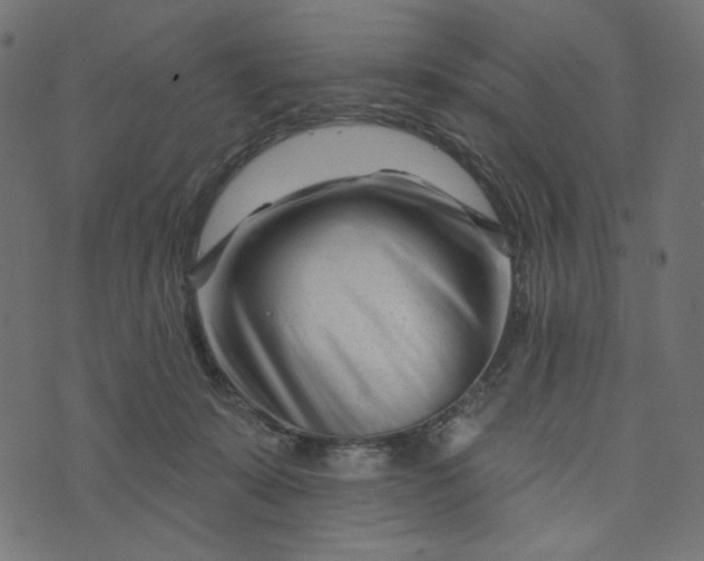 X0000073740319200608171312