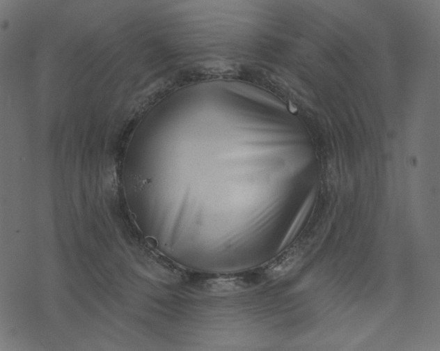 X0000073740320200608171312
