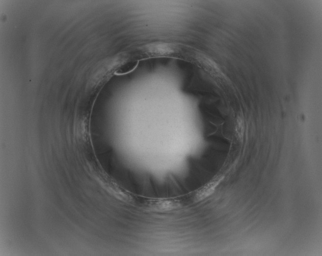 X0000073740330200608171312