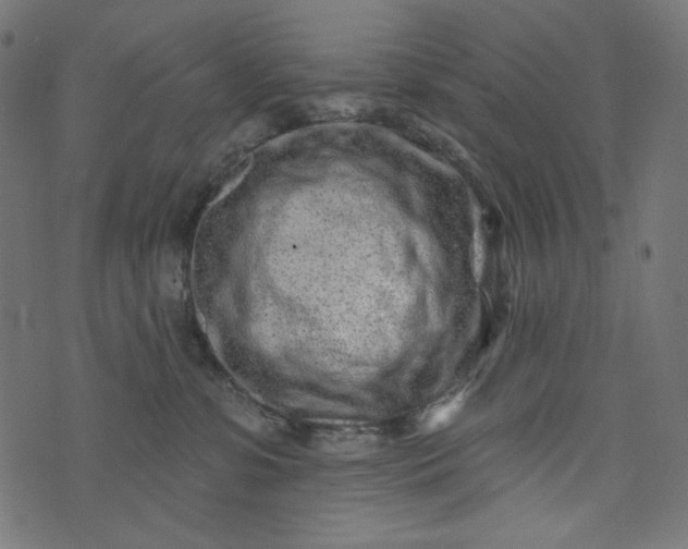 X0000073740331200608171312
