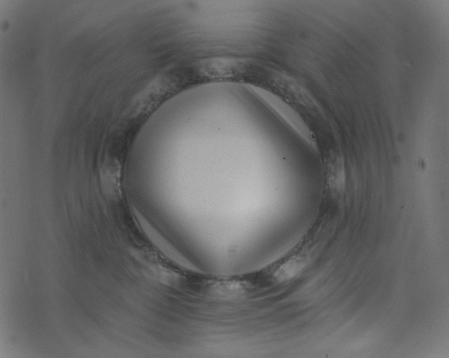 X0000073740332200608171312