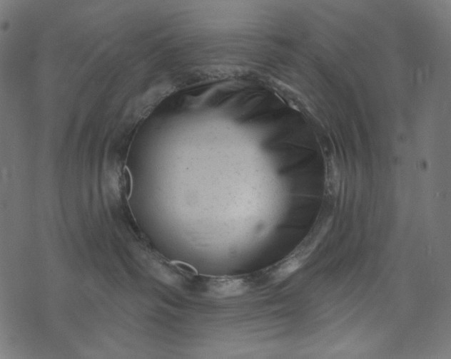 X0000073740334200608171312
