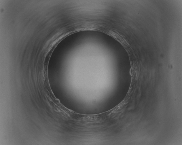 X0000073740338200608171311