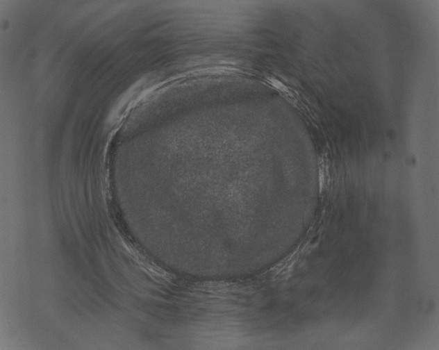 X0000073740339200608171311