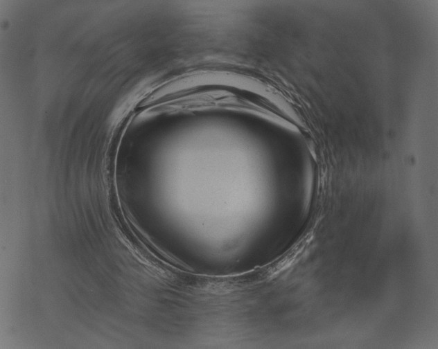 X0000073740341200608171311