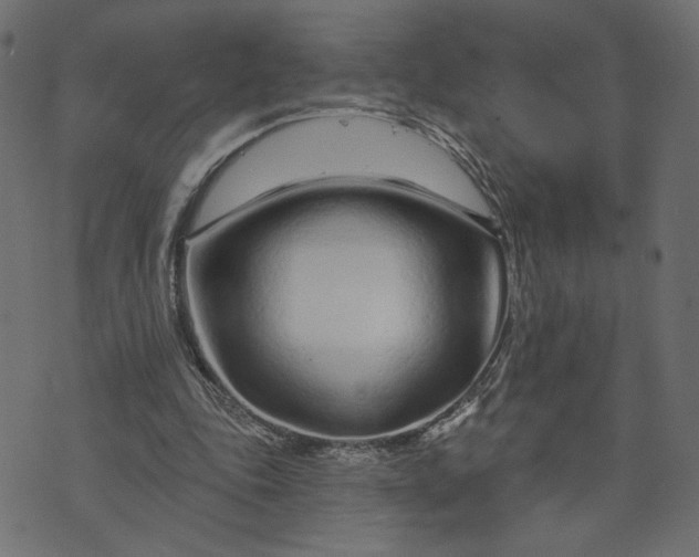 X0000073740343200608171311