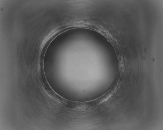 X0000073740344200608171312