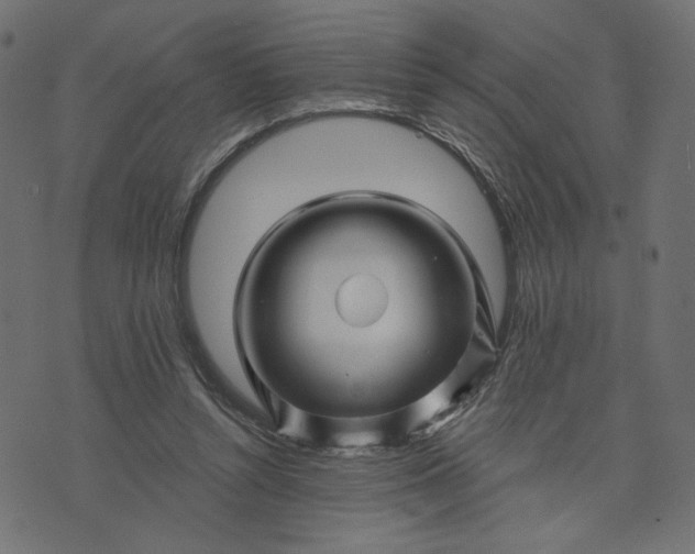 X0000073740352200608171312