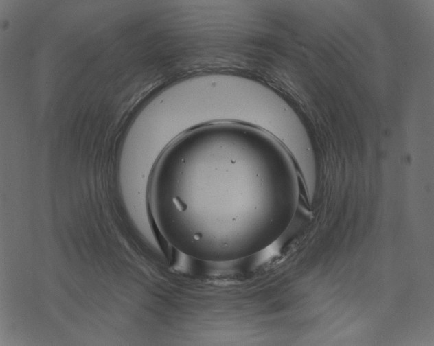 X0000073740360200608171312