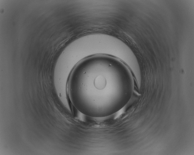 X0000073740364200608171312