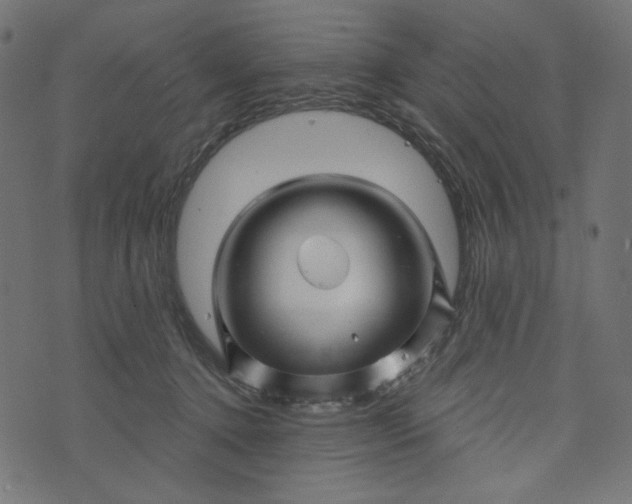 X0000073740368200608171312