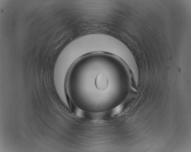 X0000073740376200608171312