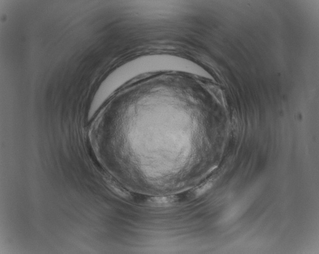 X0000073740381200608171312