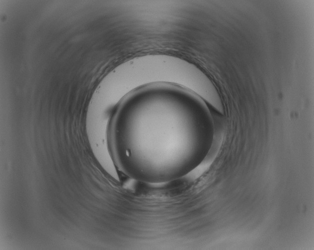 X0000073740384200608171312