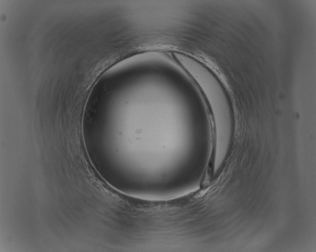 X0000073740385200608171311