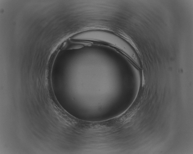 X0000073740387200608171311