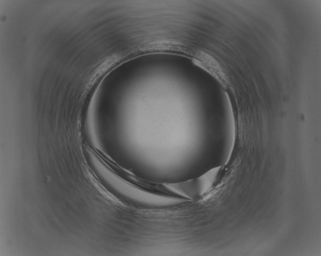 X0000073740389200608171311