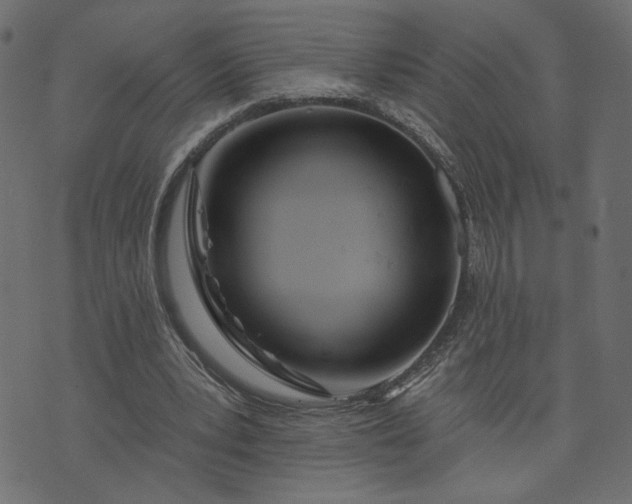X0000073740391200608171311