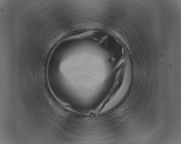 X0000073740394200608171311