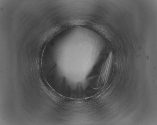 X0000073740402200608171311