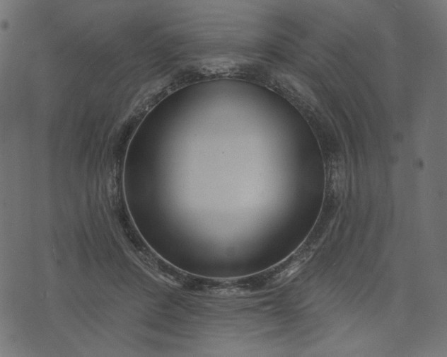 X0000073740408200608171311