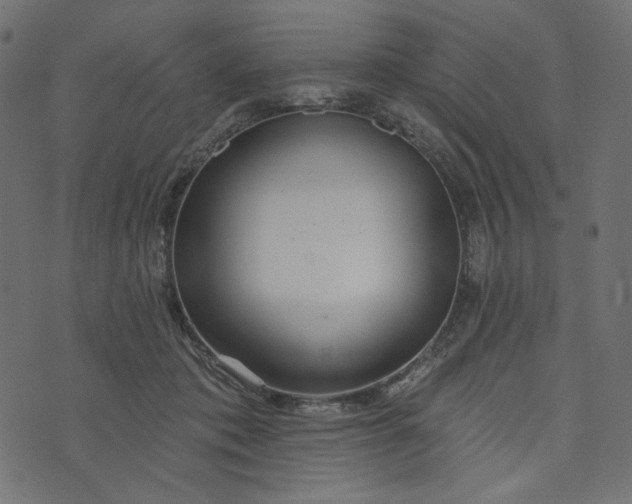 X0000073740413200608171311
