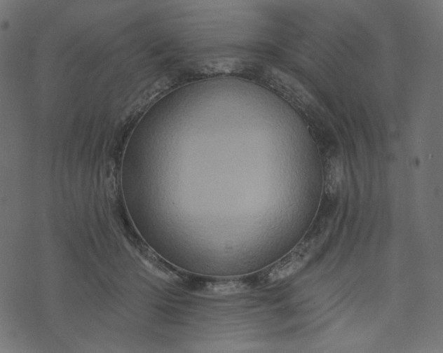 X0000073740414200608171311