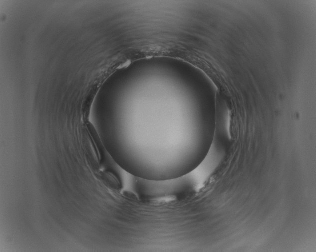 X0000073740416200608171311