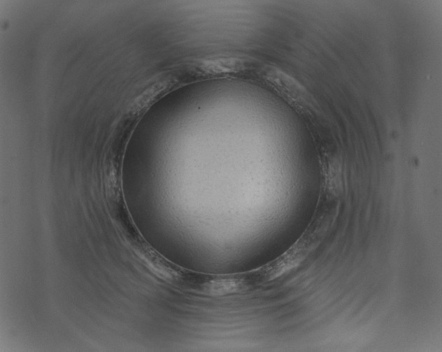 X0000073740418200608171311
