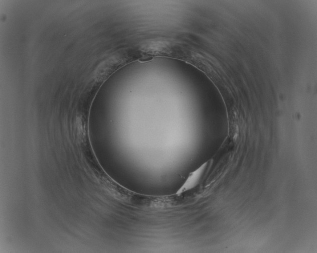 X0000073740420200608171311