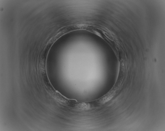X0000073740421200608171311