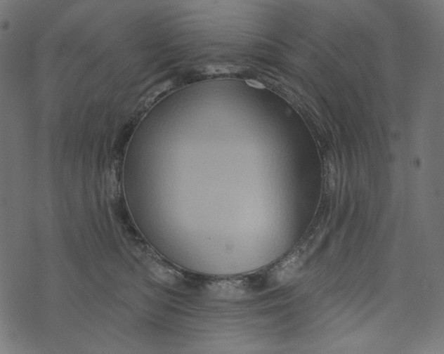 X0000073740422200608171311