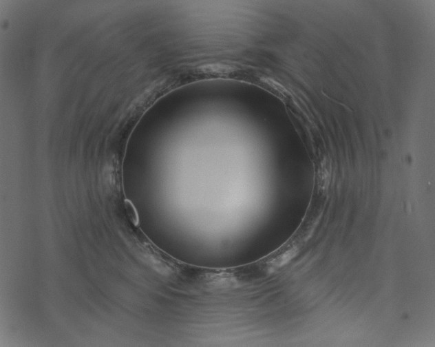 X0000073740424200608171311