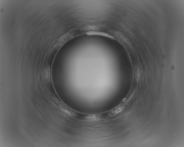 X0000073740425200608171311
