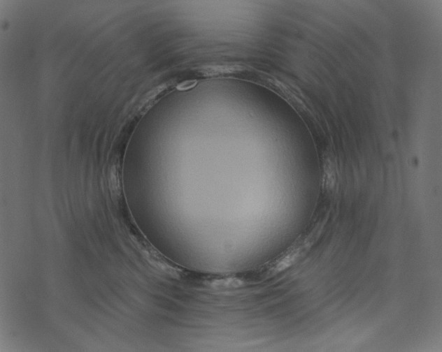 X0000073740426200608171311