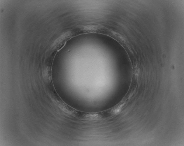 X0000073740428200608171311