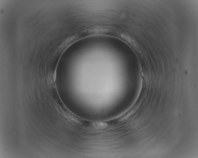 X0000073740429200608171311