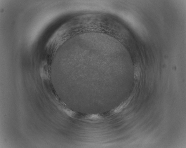X0000073740431200608171311