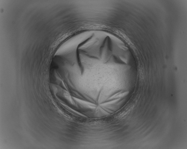 X0000073740433200608171310