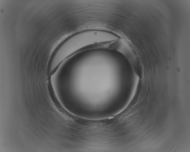 X0000073740438200608171310