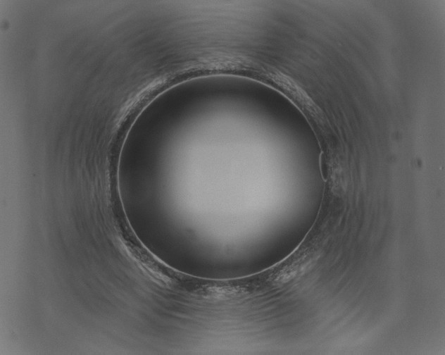 X0000073740442200608171310
