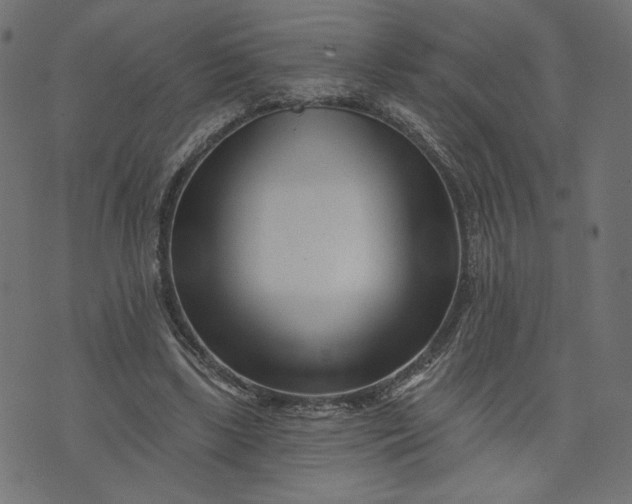 X0000073740443200608171310