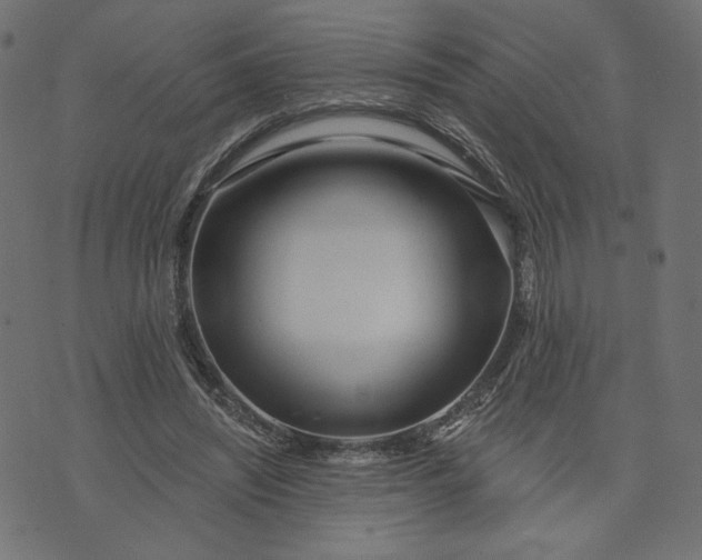 X0000073740444200608171310