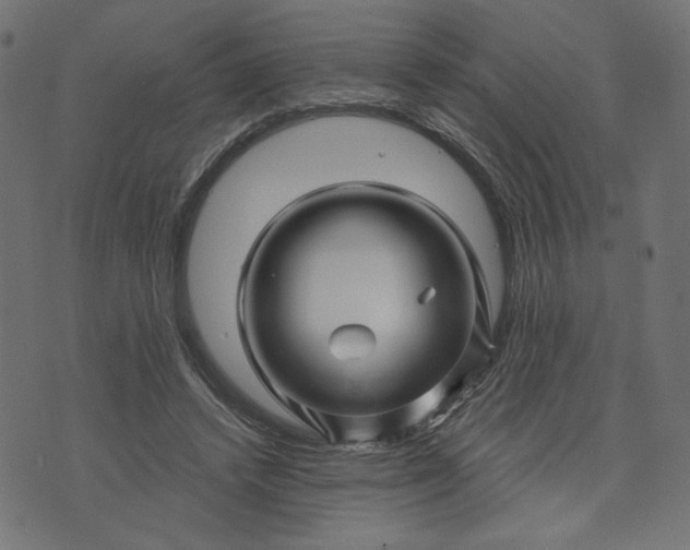 X0000073740448200608171310