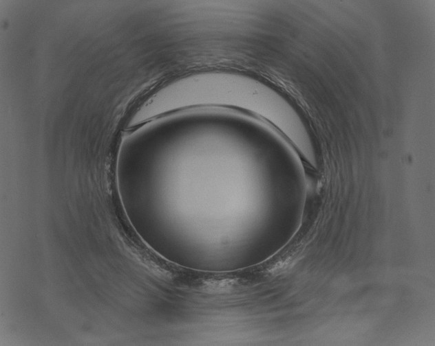 X0000073740450200608171310